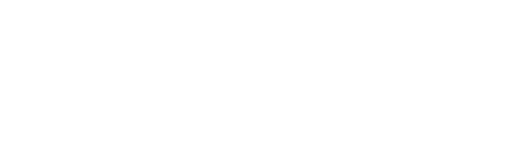 karin logo new
