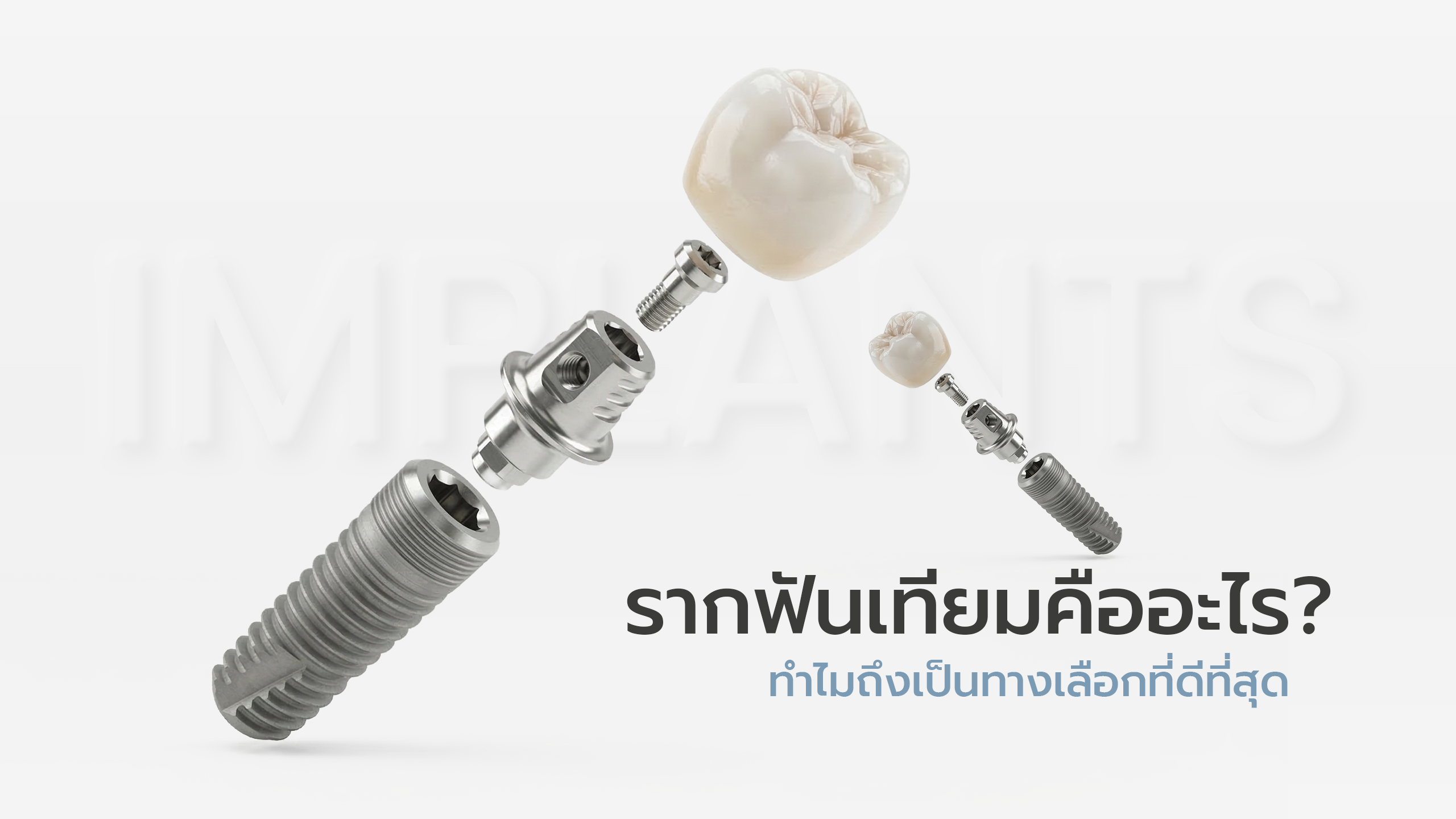 19.บทความ5